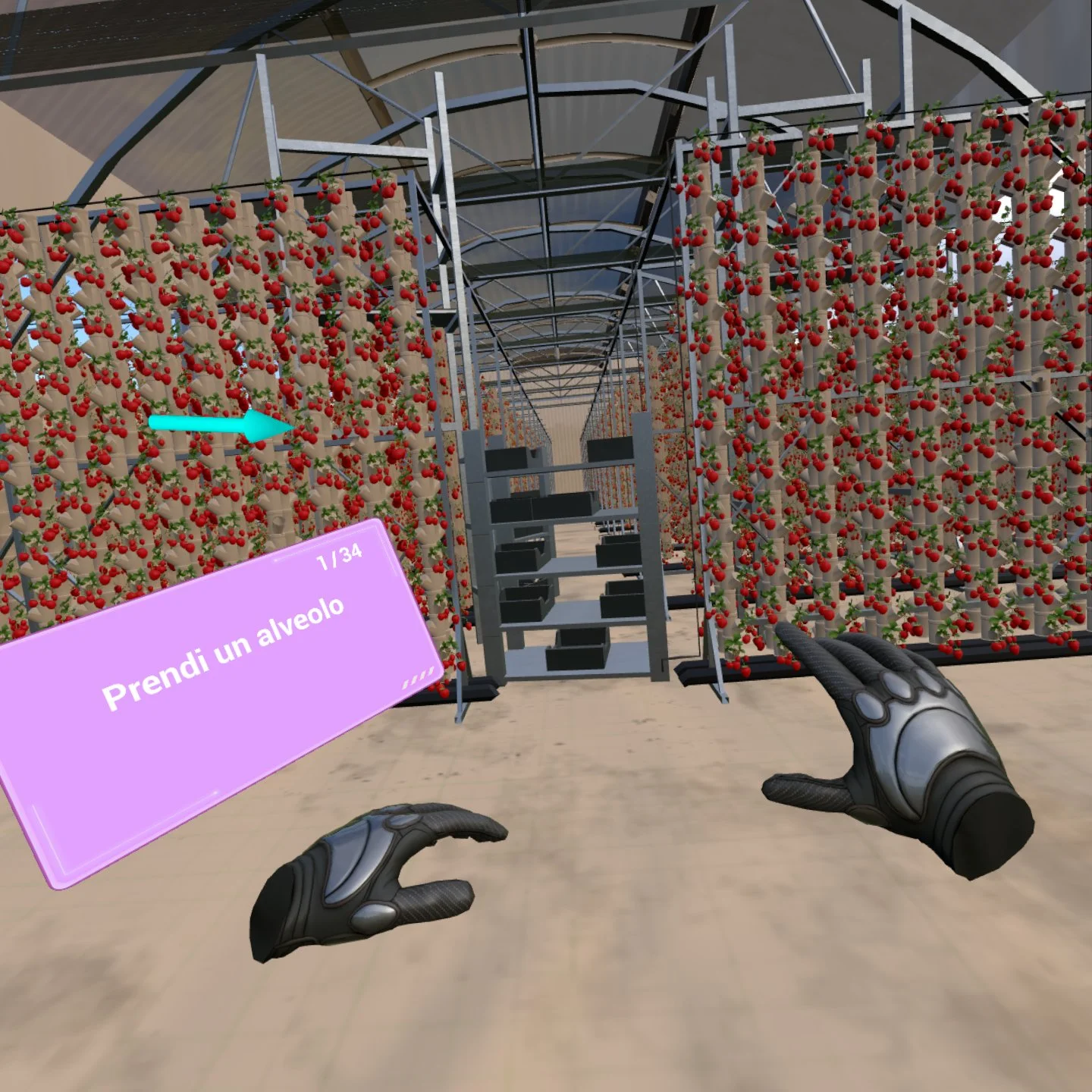 Esperienza VR — serra idroponica